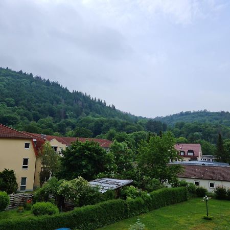 Pension Kreihe Im Harz バート・ラウターベルク エクステリア 写真