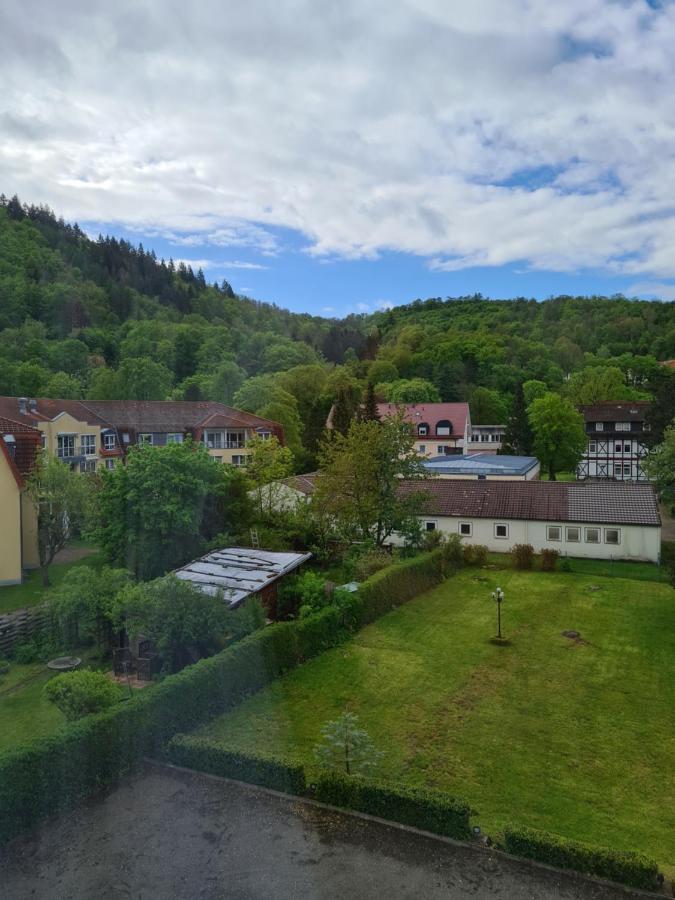Pension Kreihe Im Harz バート・ラウターベルク エクステリア 写真