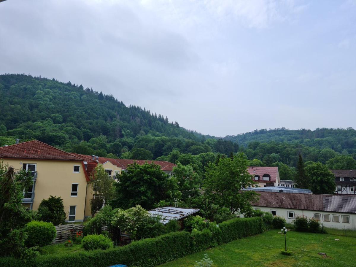 Pension Kreihe Im Harz バート・ラウターベルク エクステリア 写真