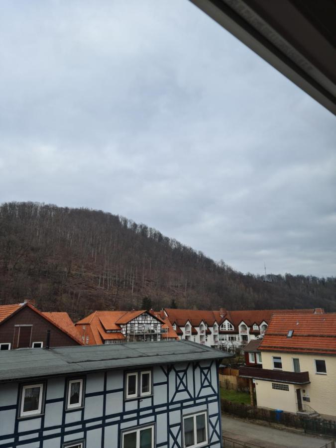 Pension Kreihe Im Harz バート・ラウターベルク エクステリア 写真