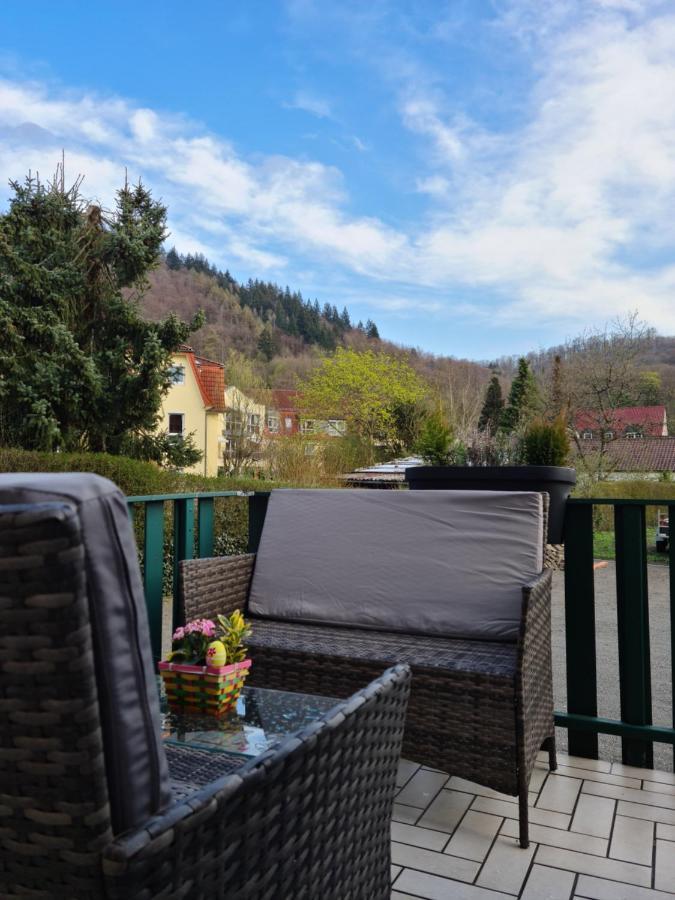Pension Kreihe Im Harz バート・ラウターベルク エクステリア 写真